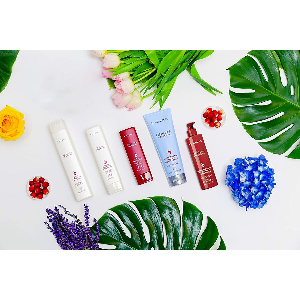 V3H2B175D42F5164DA5233CAA5B69ACDE46R7094451P4