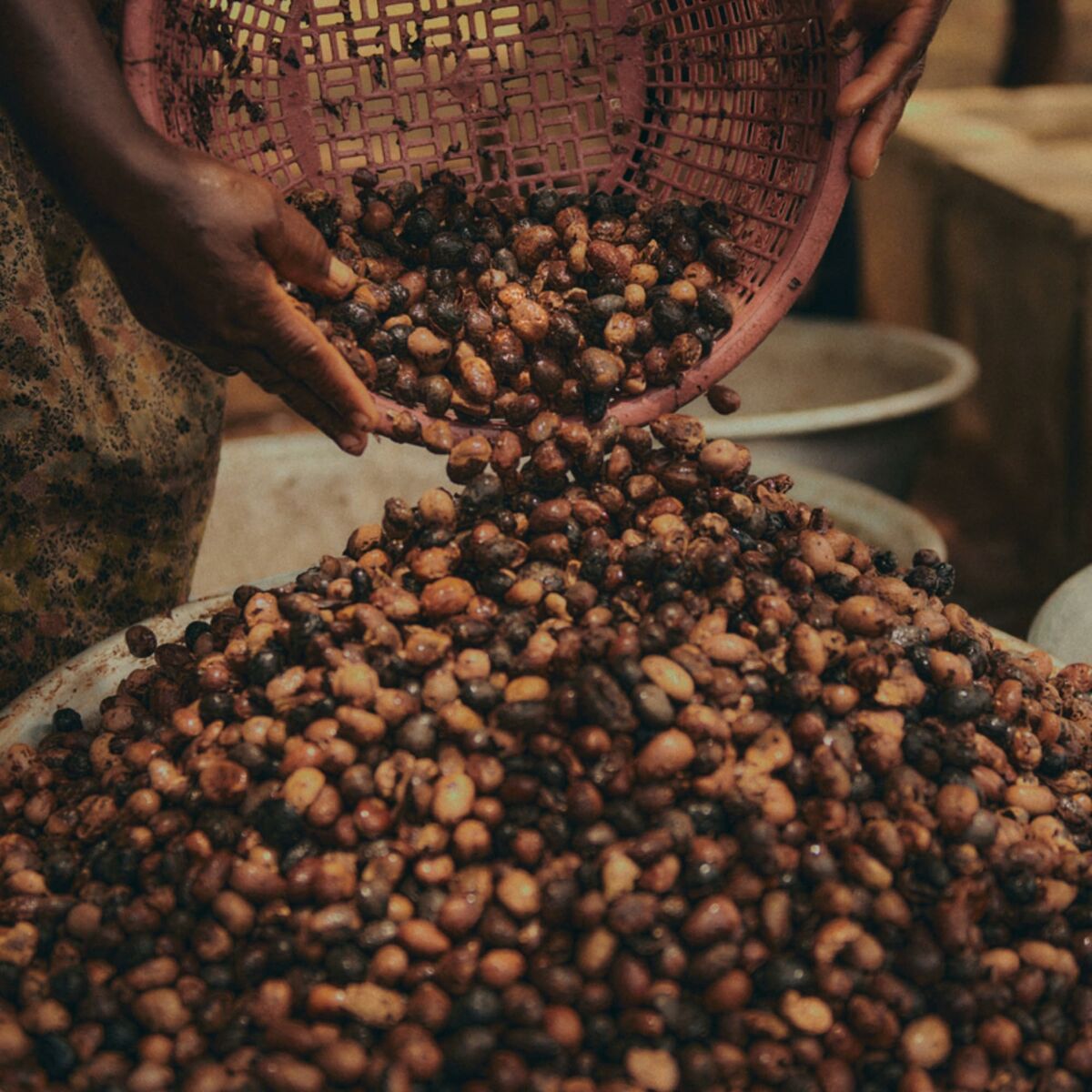 V5H97A6C59813DCFD5AAEC605D40B241AD2R4413001P3