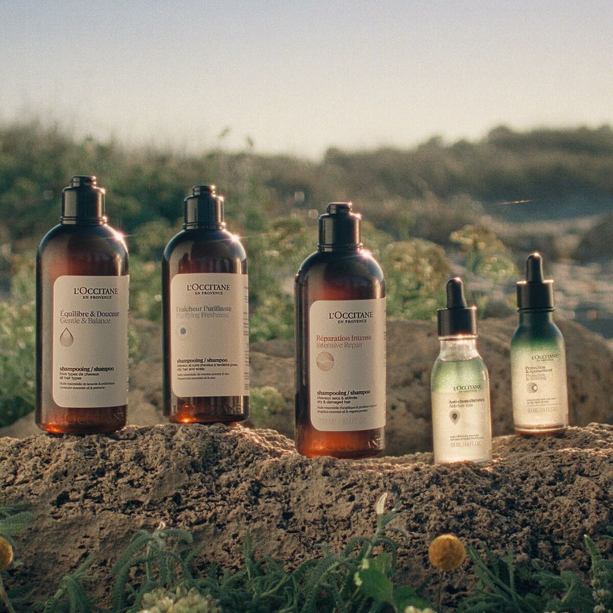 V4H27D3C7BE98441E614A2766BC0D6FEF44R6240845P7