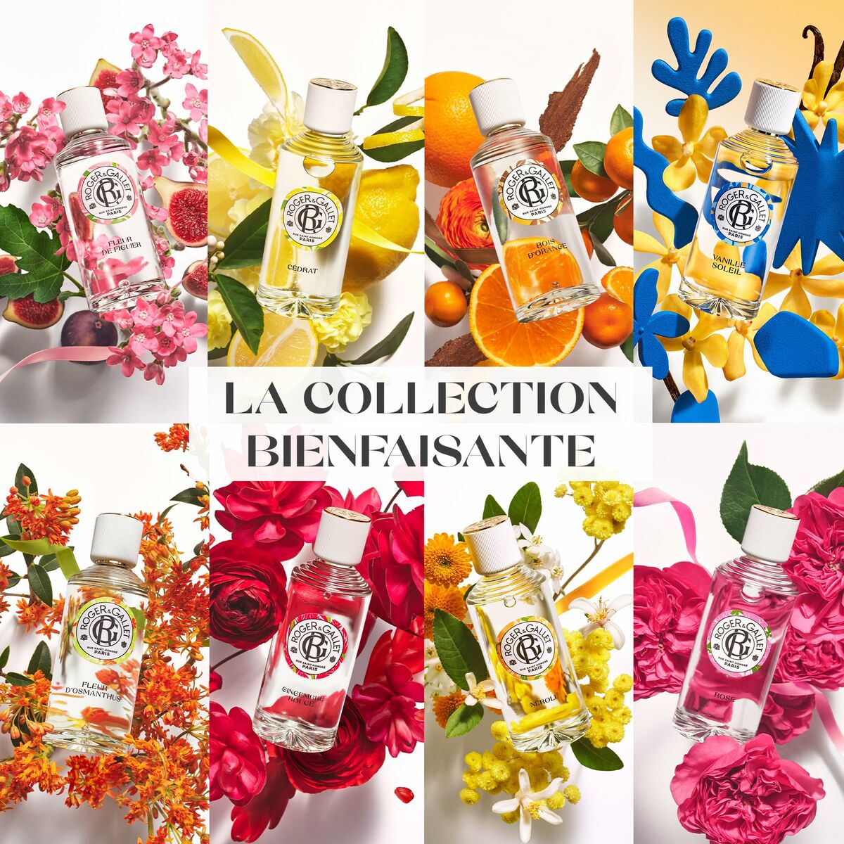 V6HC6A1621592FDC9913CB1DFE1B6DC5452R6580972P6