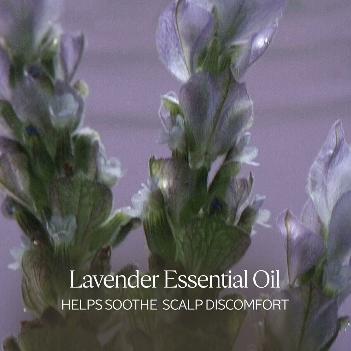 V3H59C337A1E77EC4FD37622B9CC1F94C8DR6240838P2