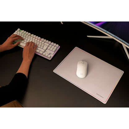 V4H5F797BACE7ABD8C07A1A4C8001A2E82FR6842996P10